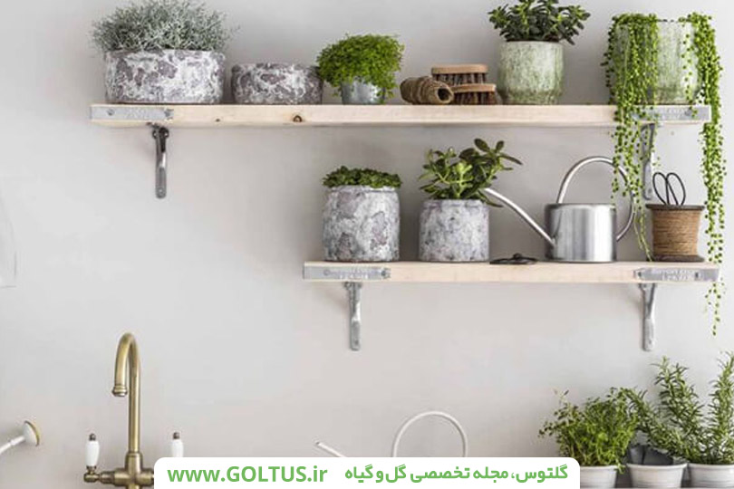 َآشپزخانه سبز