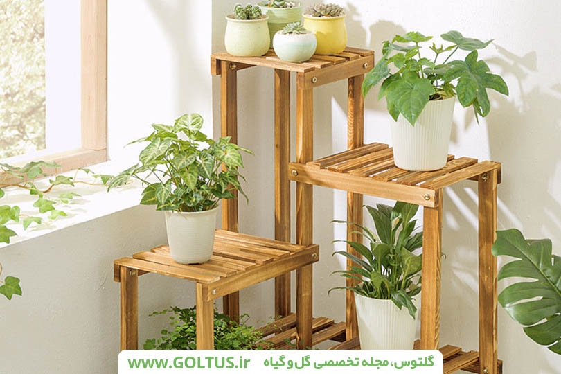 استند گل