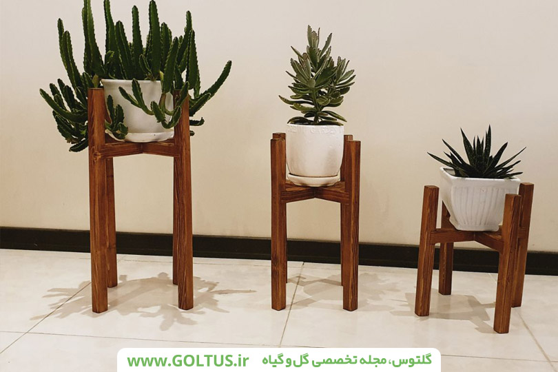 استند گل