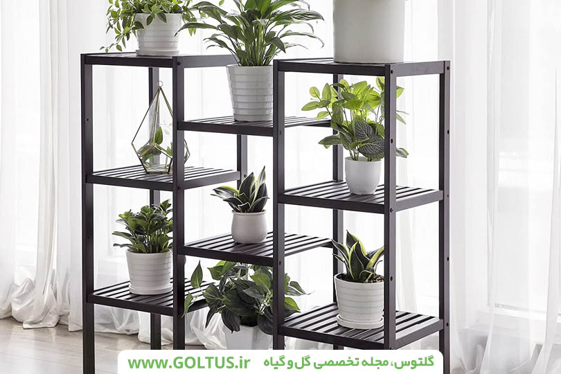 استند گل