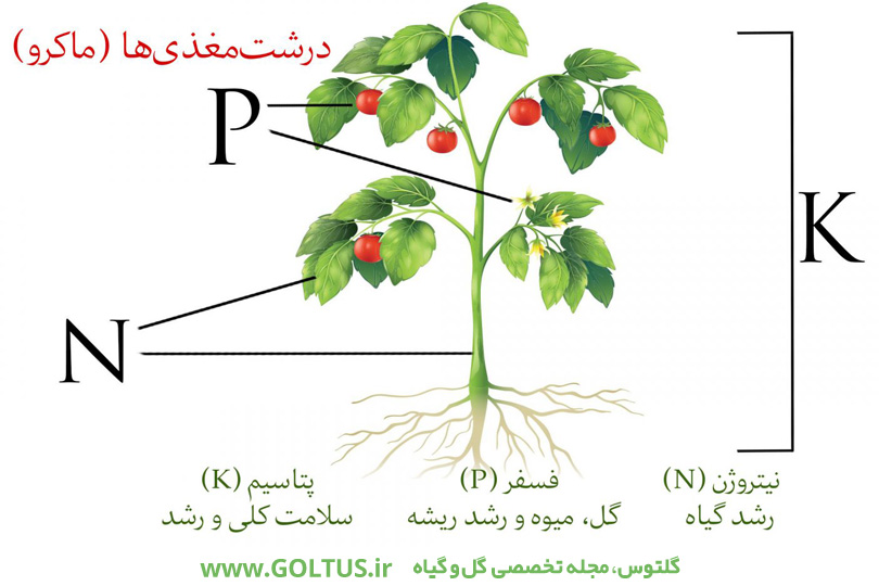 کود کامل