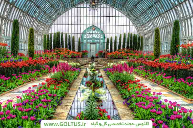 بستر مناسب کشت گلخانه‌ای