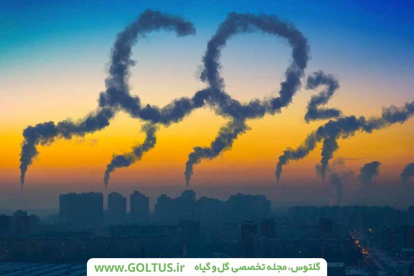 شرایط دمایی گلخانه