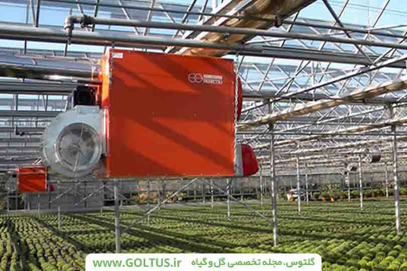 شرایط دمایی گلخانه