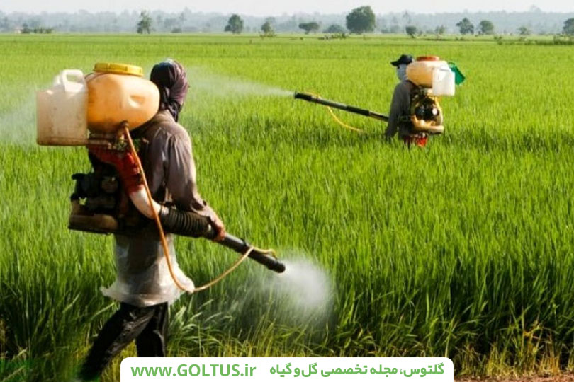 کود پاشی مایع
