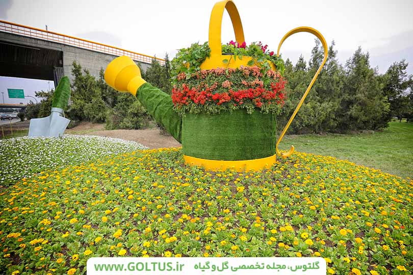 گلهای فضای باز