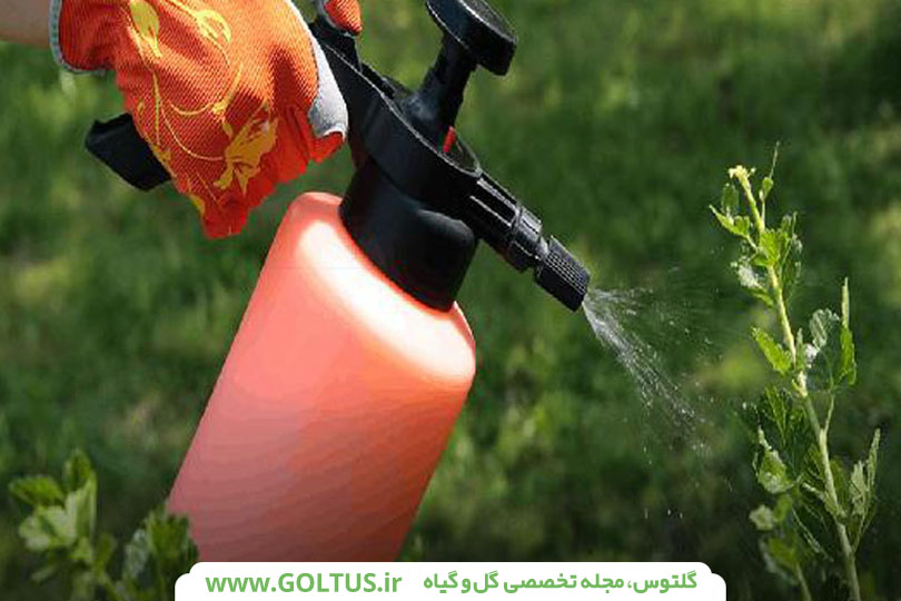 قارچکش مانکوزب