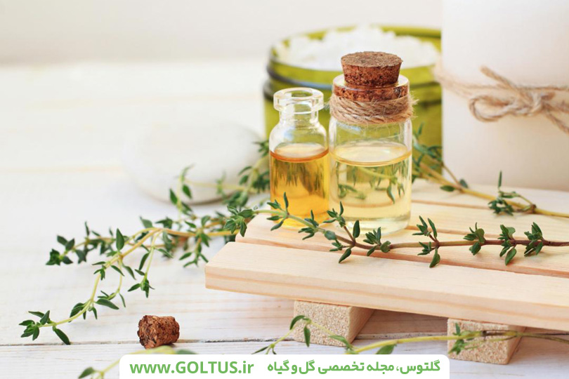 خواص دمنوش آویشن