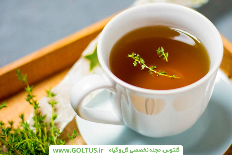 خواص دمنوش آویشن